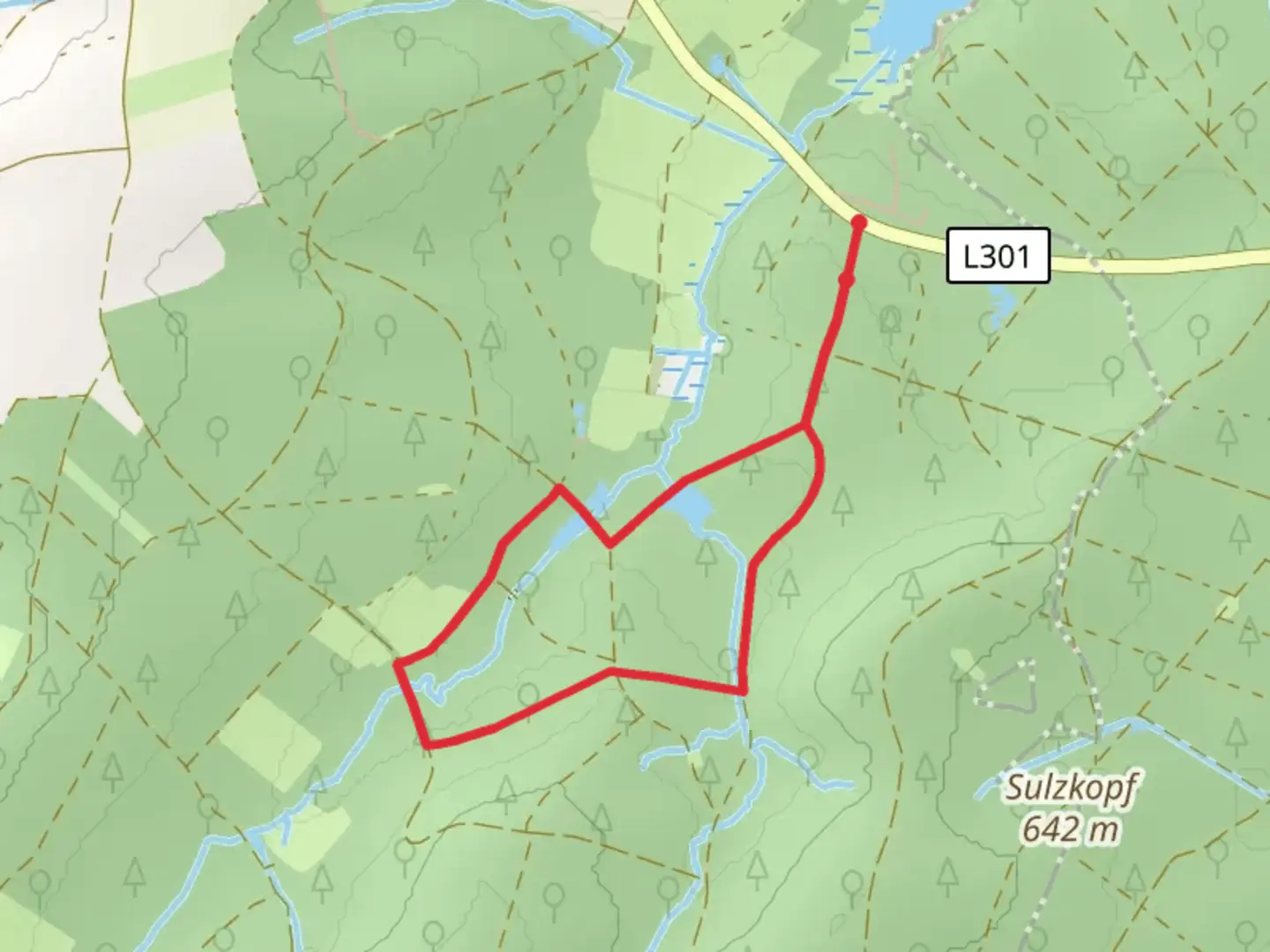 An image depicting the trail Laubach Loop and its surrounding area.