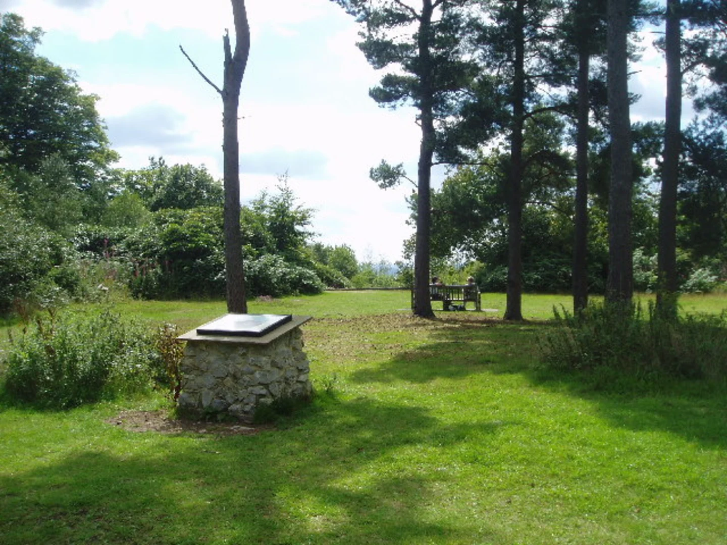 An image depicting the trail Toy's Hill Loop and its surrounding area.
