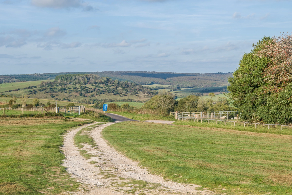 Midhurst to Chichester Walk