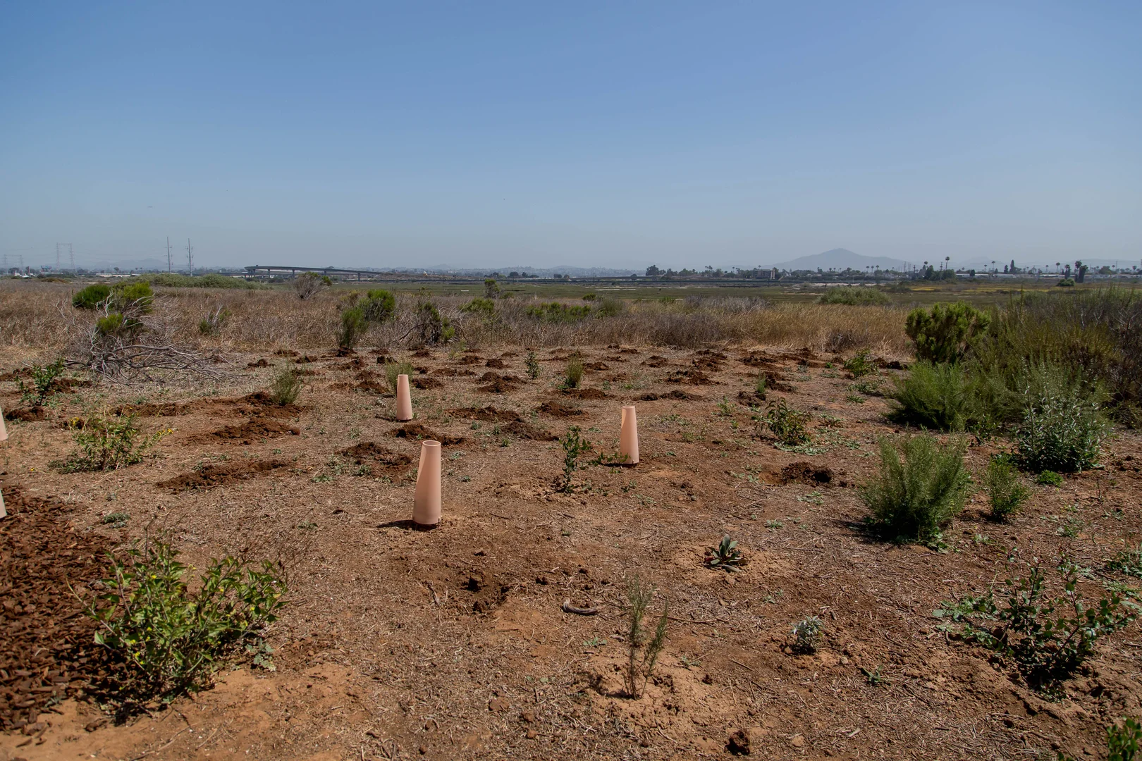 An image depicting the trail Butterfly and Hummingbird Garden Loop Trail and its surrounding area.