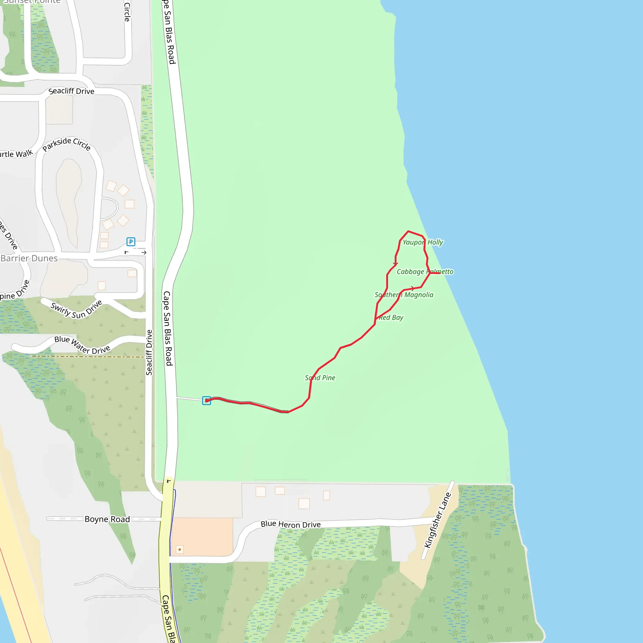 Maritime Hammock Trail mobile static map