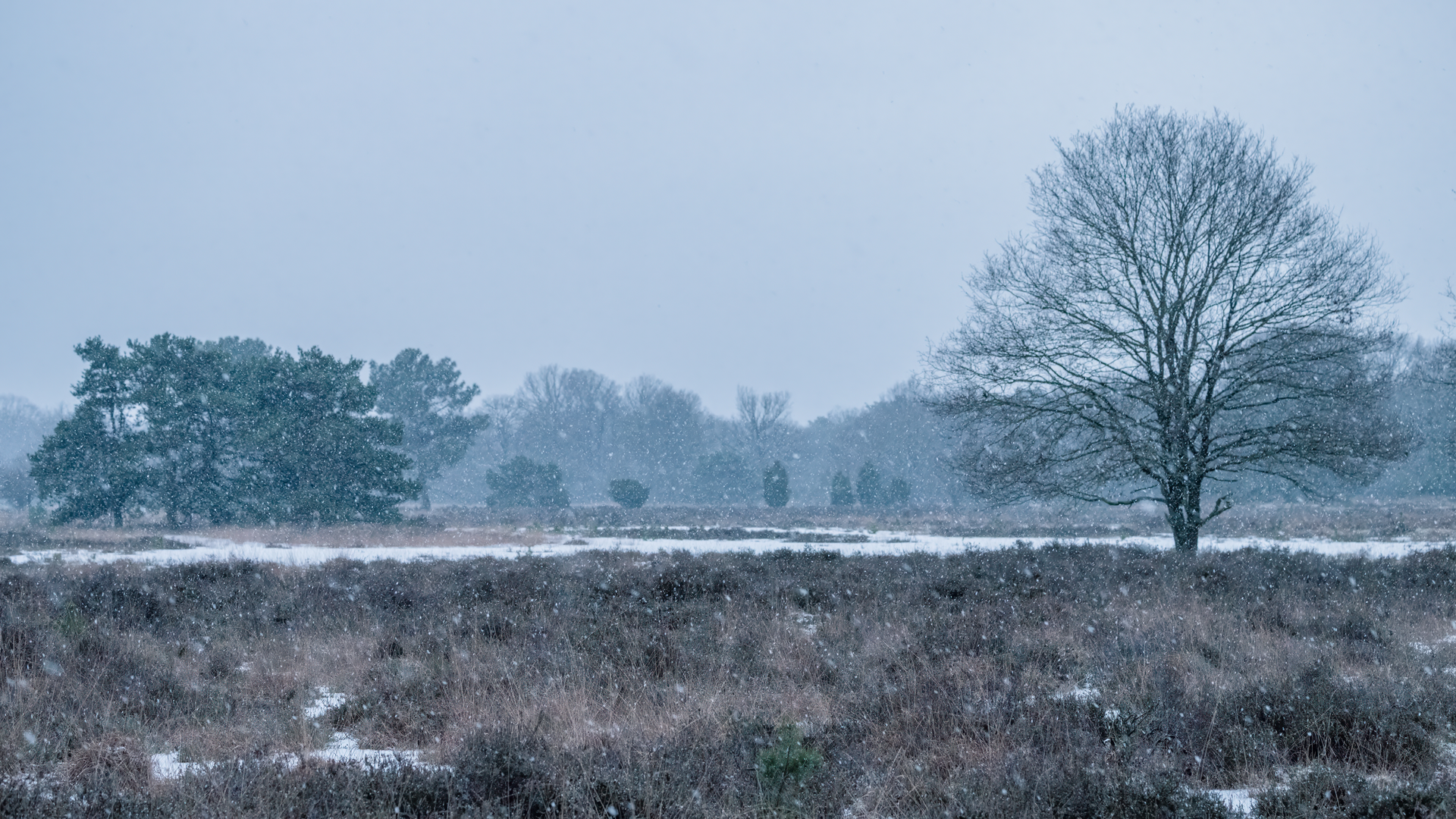 An image depicting the trail Langenberg Weg, Steenhaar Weg and Stendermolen Weg and its surrounding area.