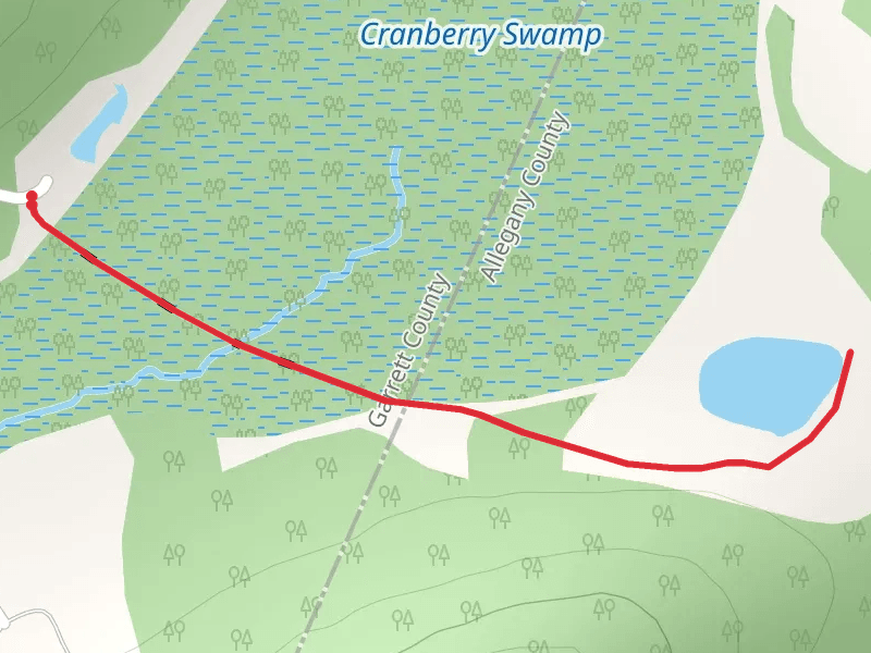 Cranberry Swamp and Wolf Gap