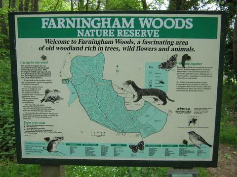 An image depicting the trail Farningham Woods and its surrounding area.