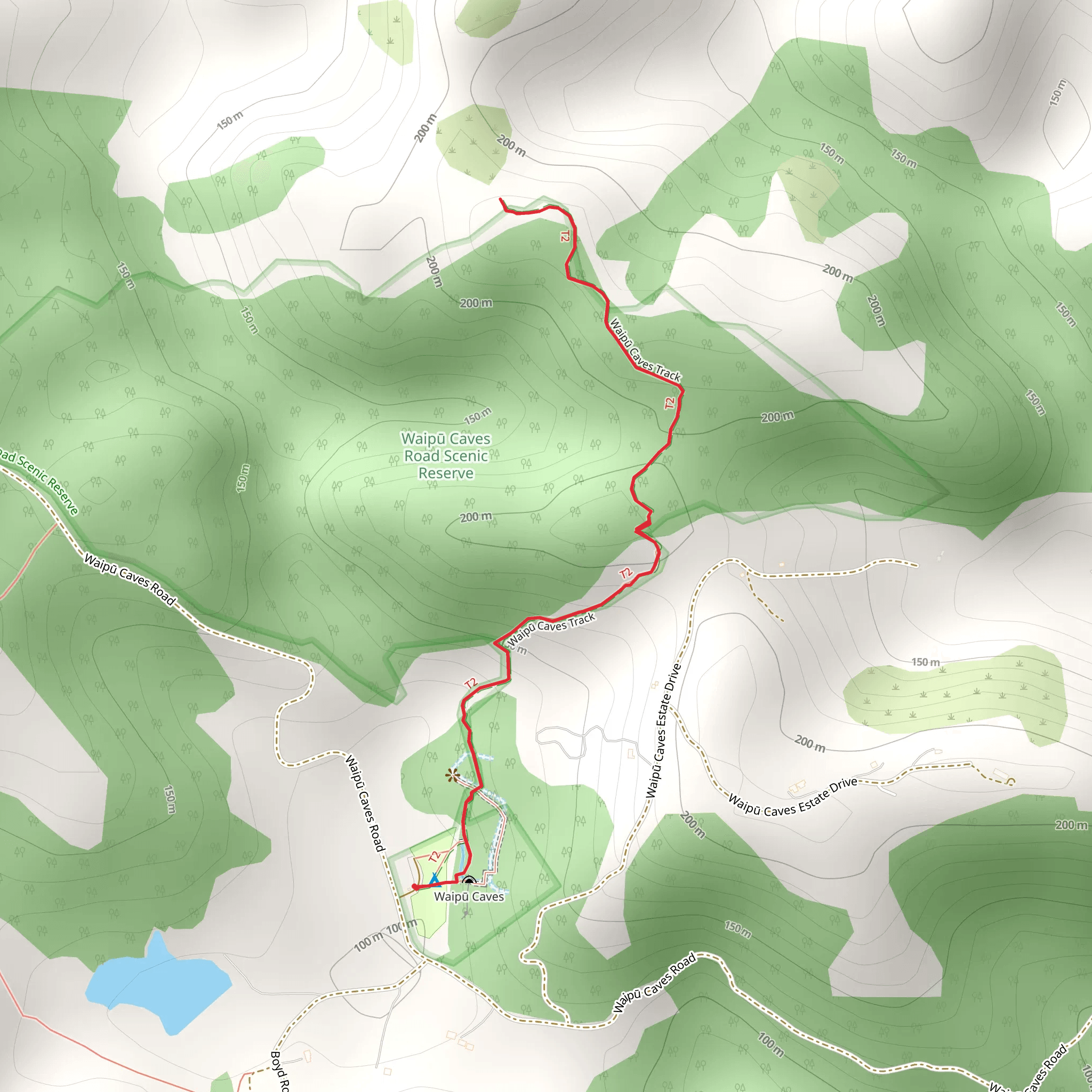 Waipu Caves Track mobile static map