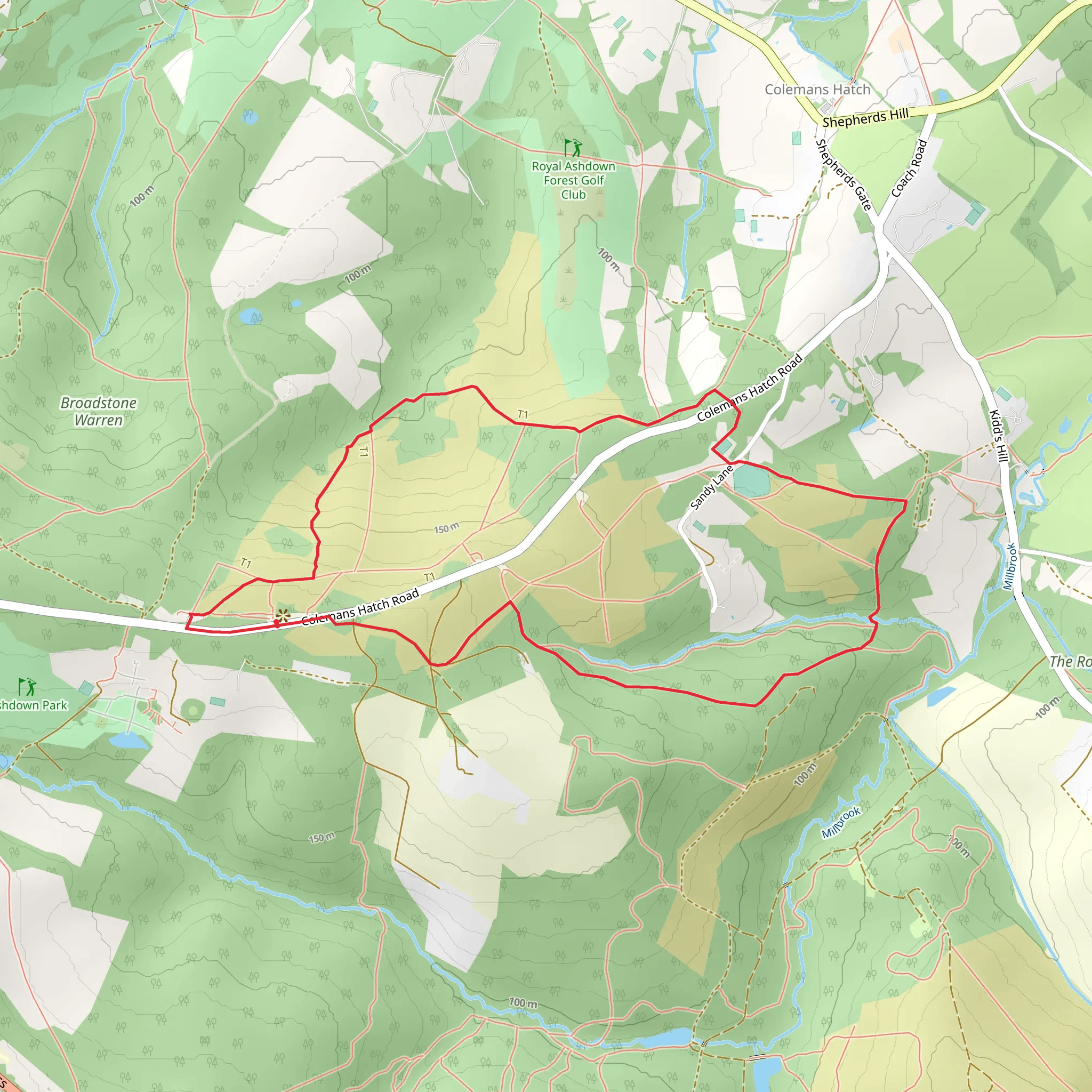 Vanguard Way and Ashdown Forest Loop mobile static map