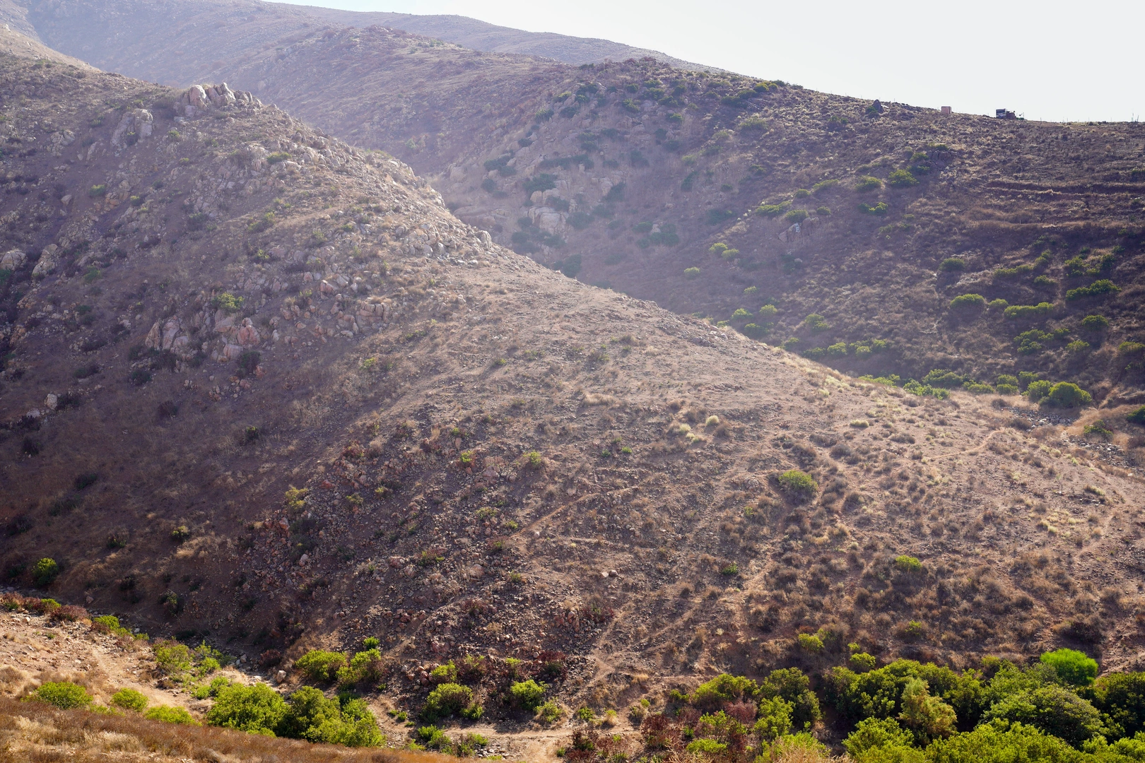 An image depicting the trail Doghouse junction and Otay Mountain via Minnewawa Trail and its surrounding area.