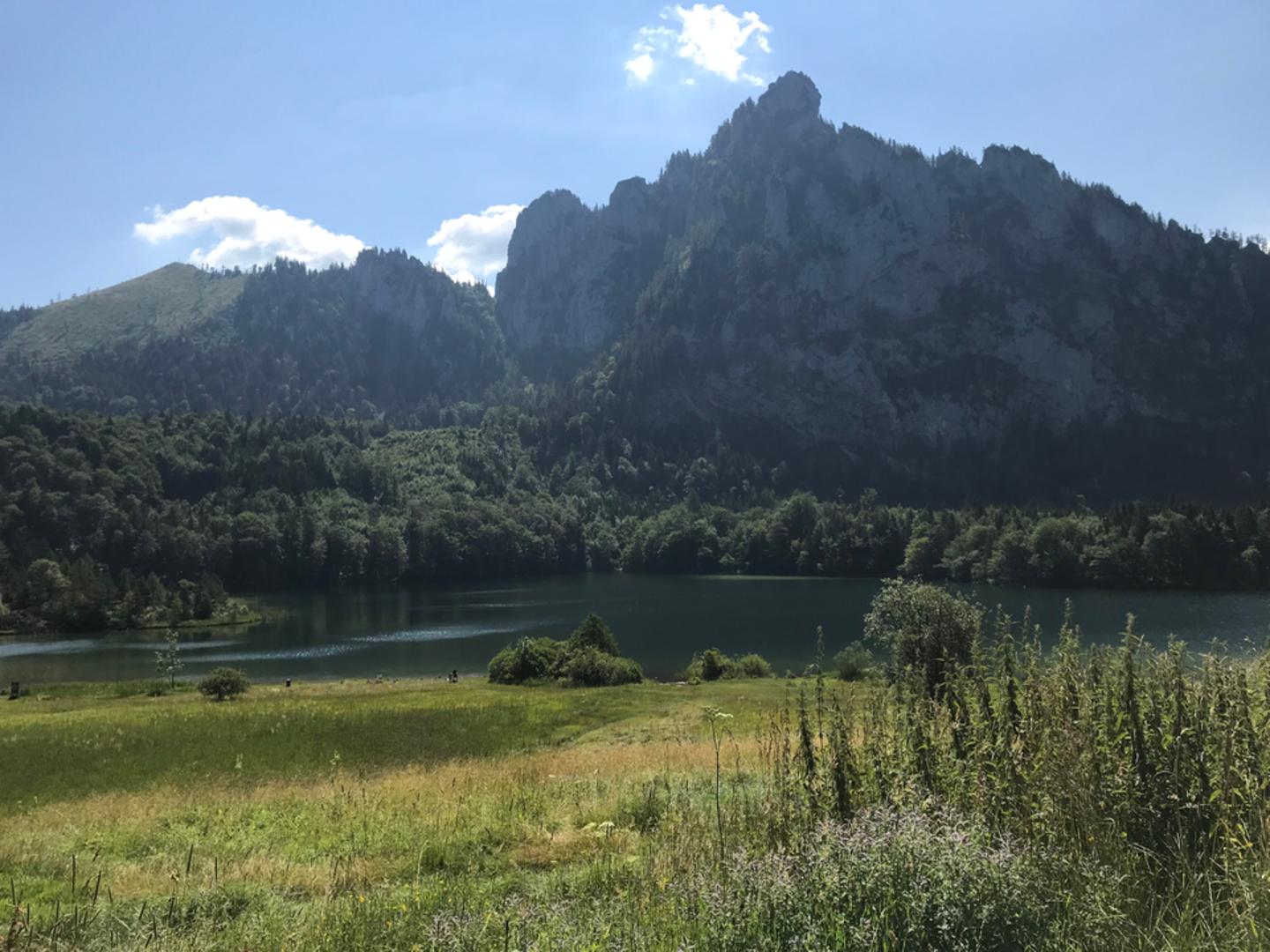 An image depicting the trail Franzl im Holz to Lake Laudachsee and its surrounding area.