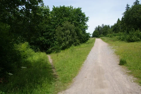 An image depicting the trail Crab and Winkle Way and its surrounding area.