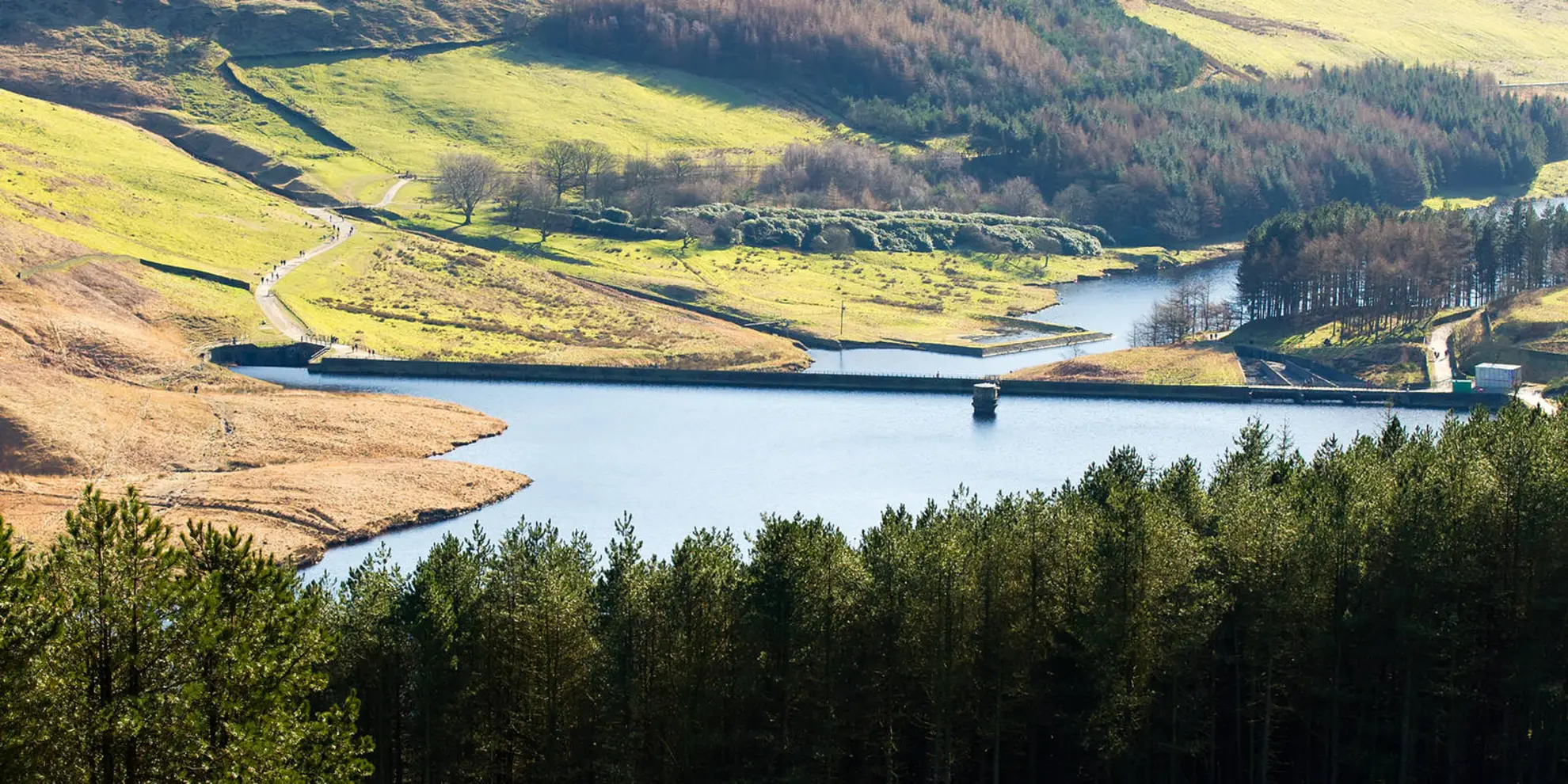 An image depicting the trail Dovestone Rocks and its surrounding area.