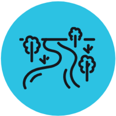 Marilyn French avatar