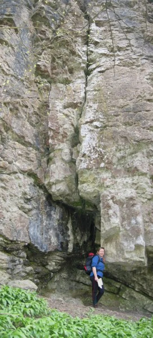 An image depicting the trail Pole Bank to Much Wenlock Walk and its surrounding area.