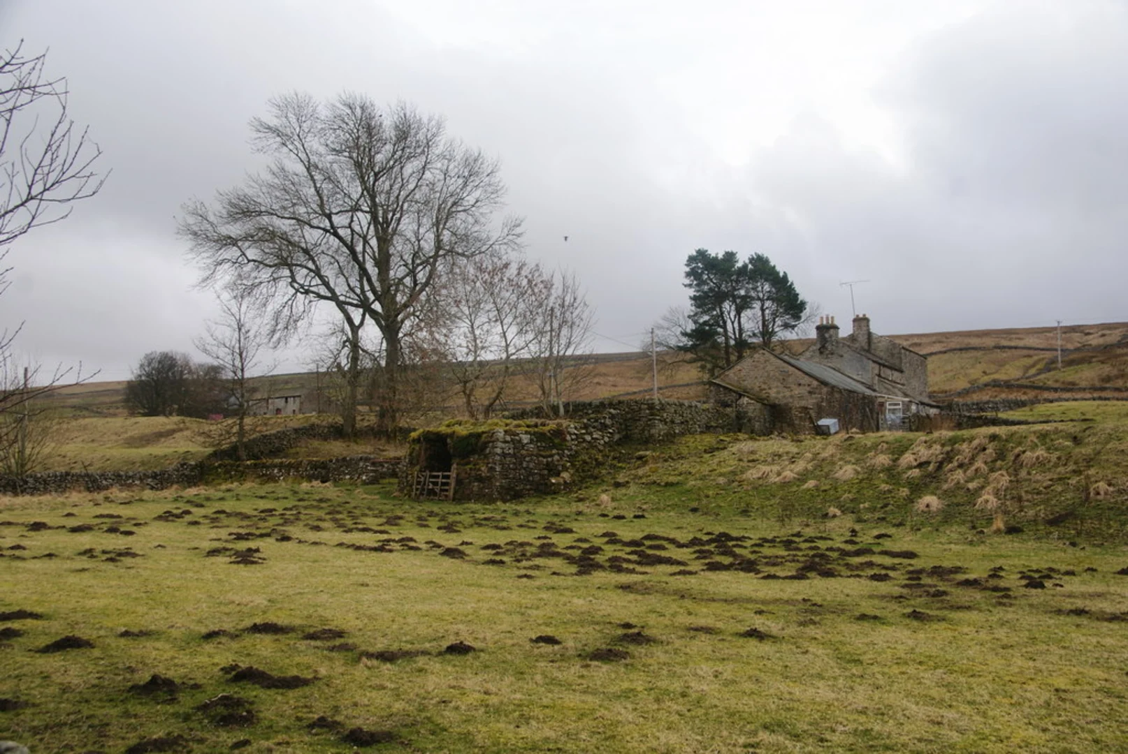 An image depicting the trail South Tyne Trail and its surrounding area.