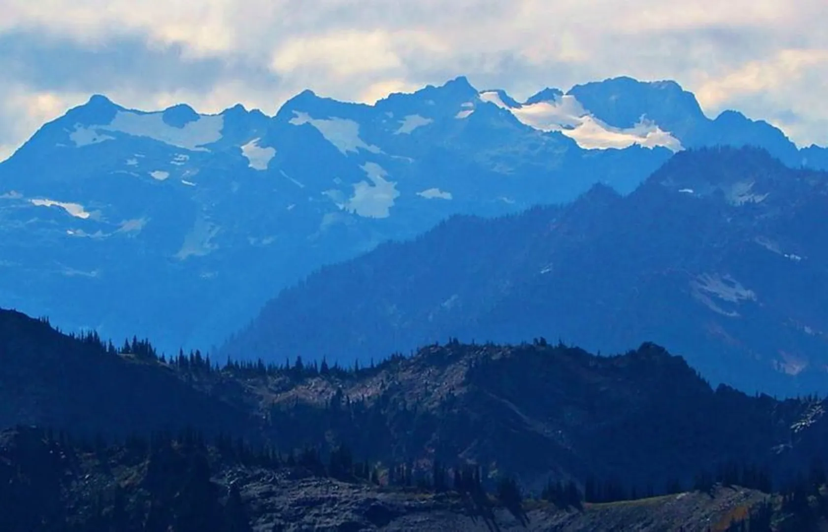 An image depicting the trail North Fork Quinault River Trail and its surrounding area.