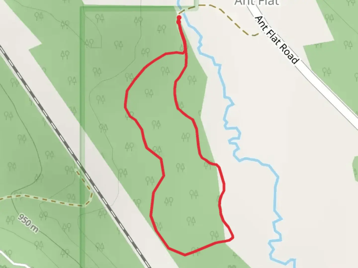 An image depicting the trail Ant Flat Historic Site and Nature Trail and its surrounding area.