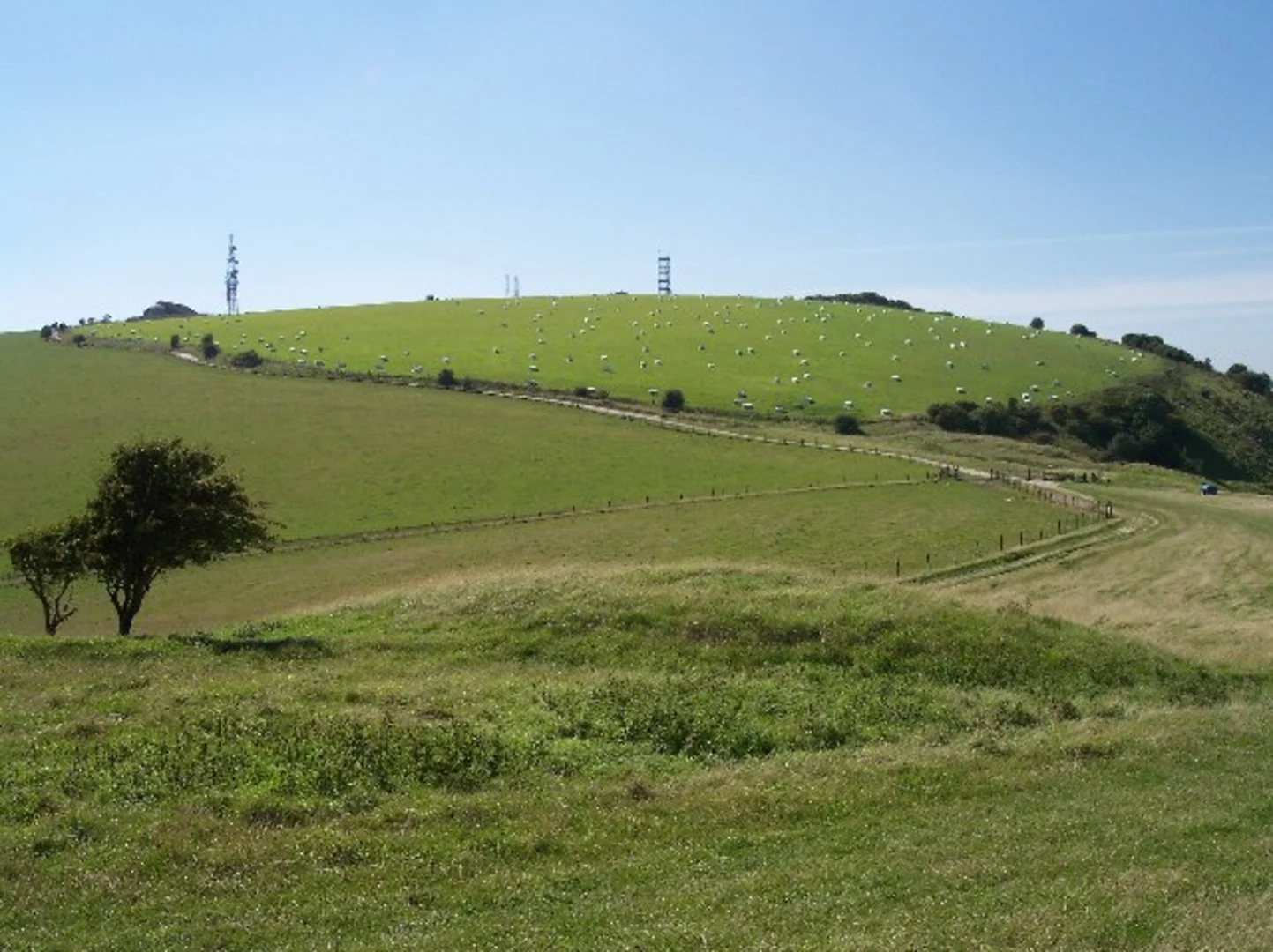 An image depicting the trail Edburton Hill and Thundersbarrow Hill Loop and its surrounding area.