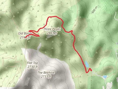 Old Baldy via John Hoffnagle Loop