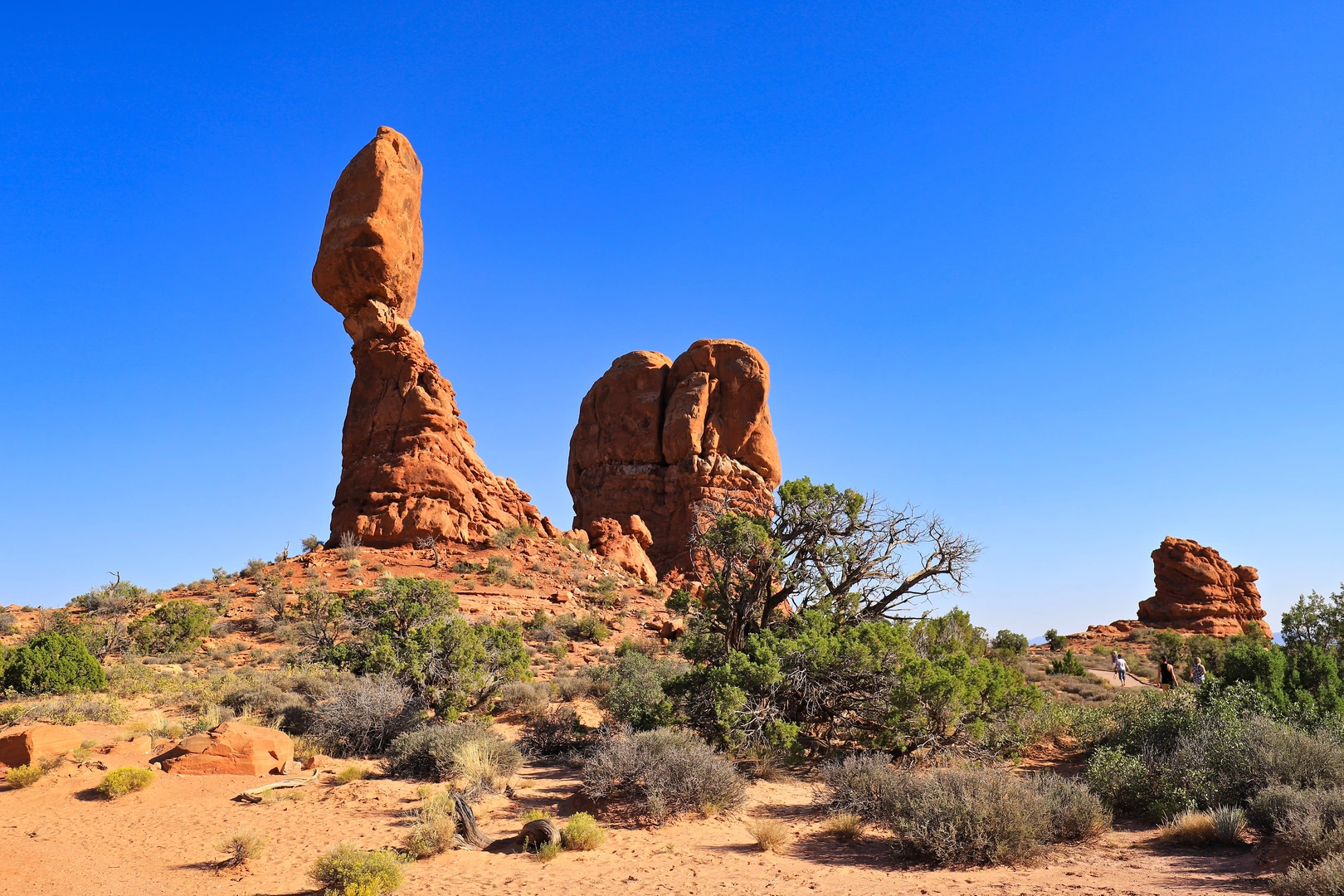 An image depicting the trail Balanced Rock Trail and its surrounding area.