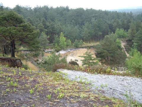 An image depicting the trail Boveridge Heath and Harefield Plantation Loop - Verwood and its surrounding area.