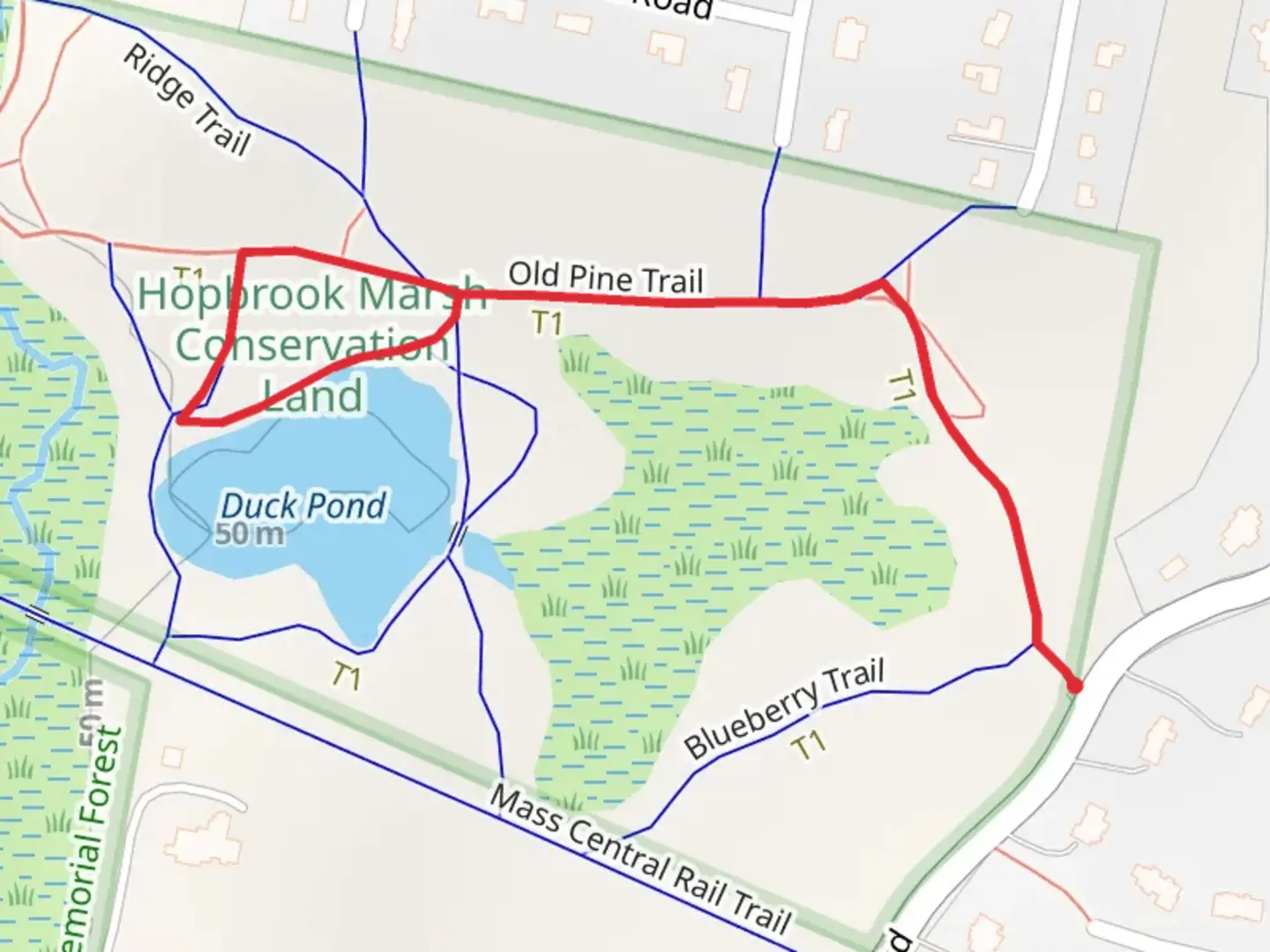 An image depicting the trail Duck Pond via Old Pine Trail and its surrounding area.