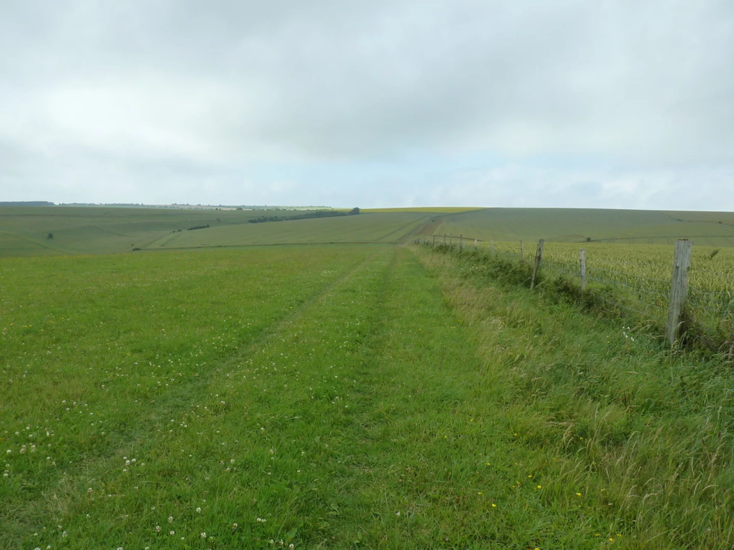 An image depicting the trail Chantry Hill and Springhead Hill via South Downs Way and its surrounding area.