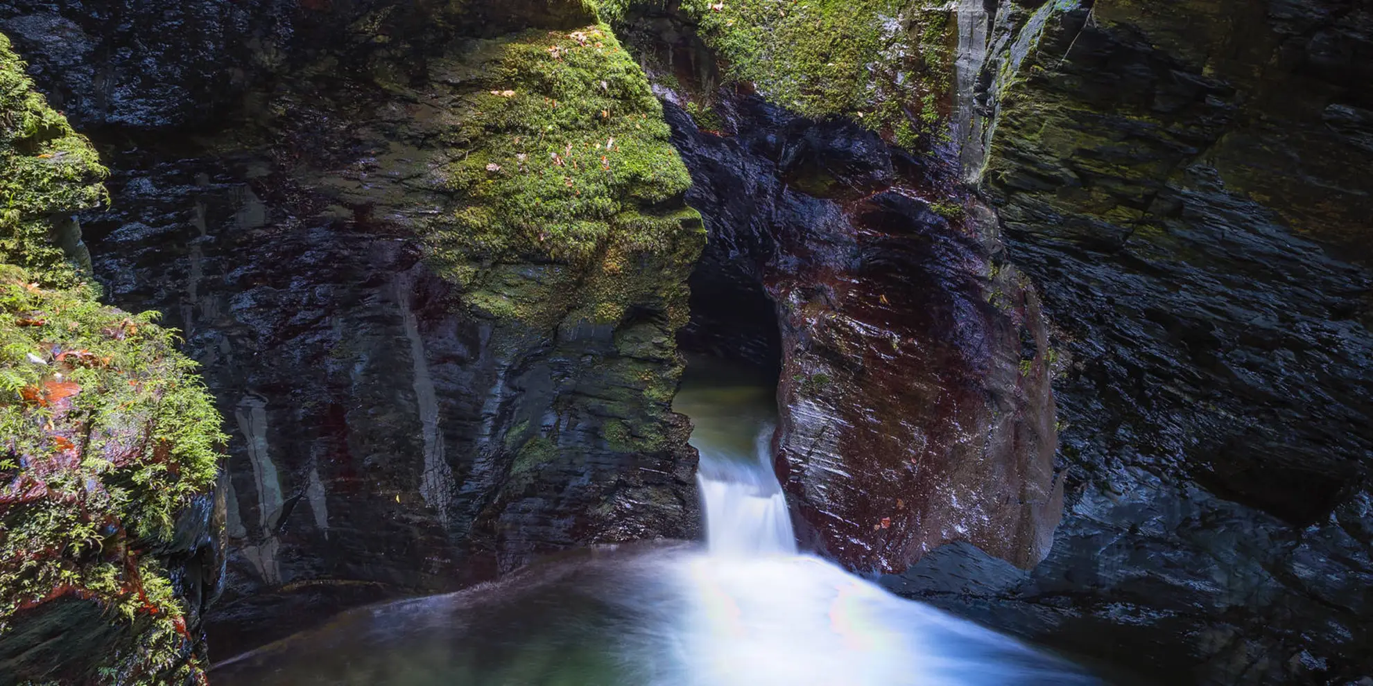 An image depicting the trail Lydford Gorge Waterfall Trail and its surrounding area.