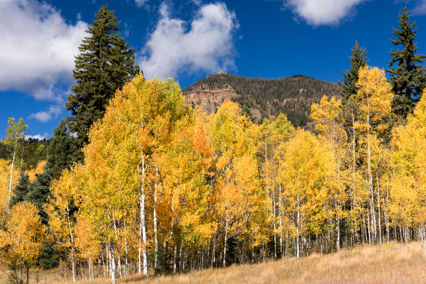 An image depicting the trail Sierra Vandera Trail via Falls Creek Trail and its surrounding area.