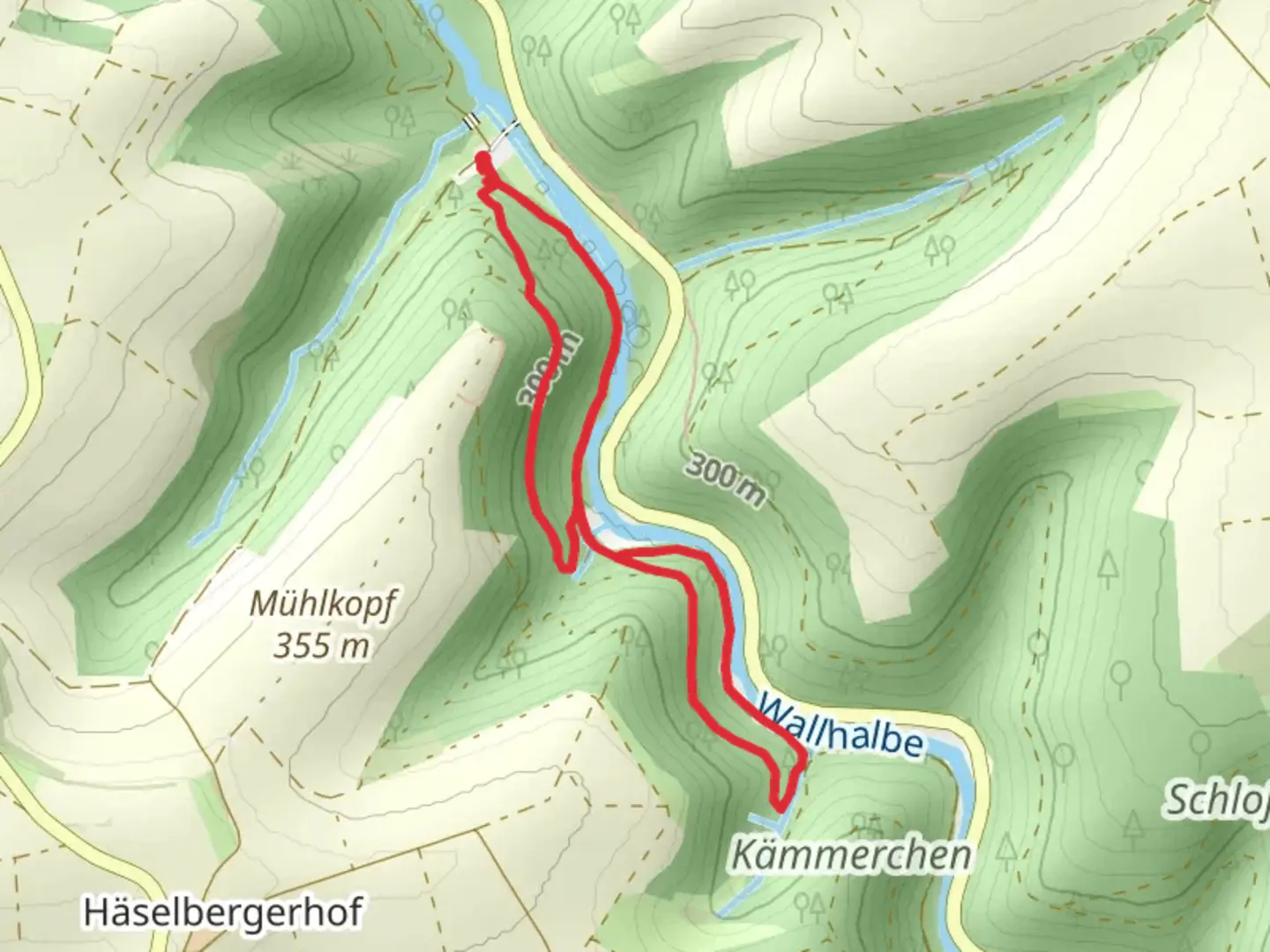 An image depicting the trail Maßweilerer Keltenpfad Loop and its surrounding area.