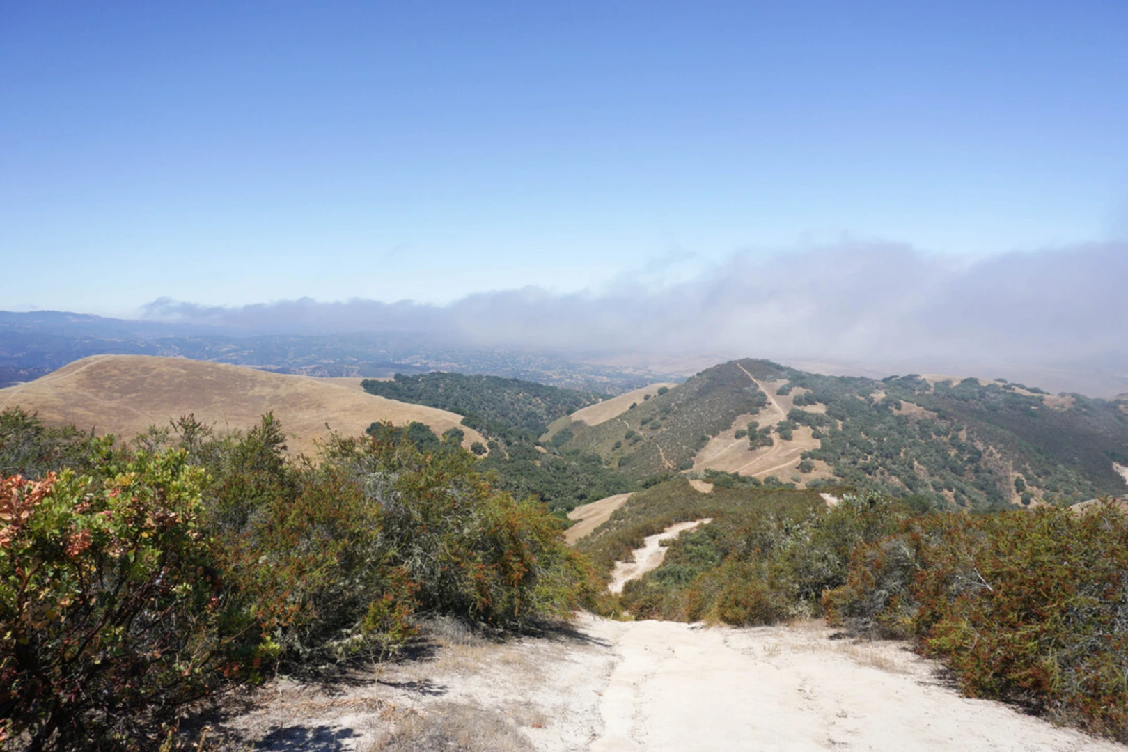 An image depicting the trail Ollason Peak Loop from Ollason Road and its surrounding area.