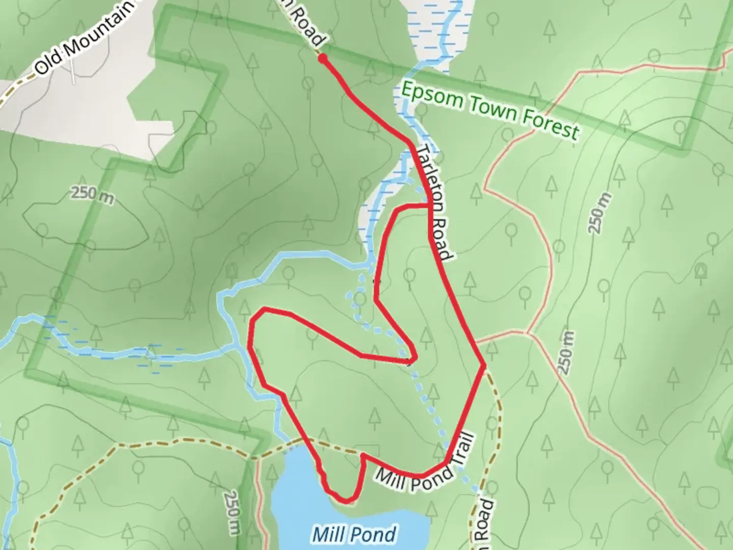 An image depicting the trail Mill Sluice Foot Loop Trail and its surrounding area.