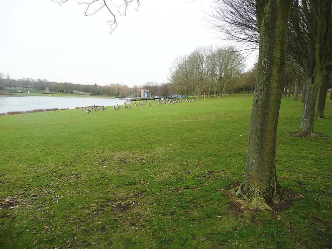 Firlands Park, Lake and Donkey Park Loop