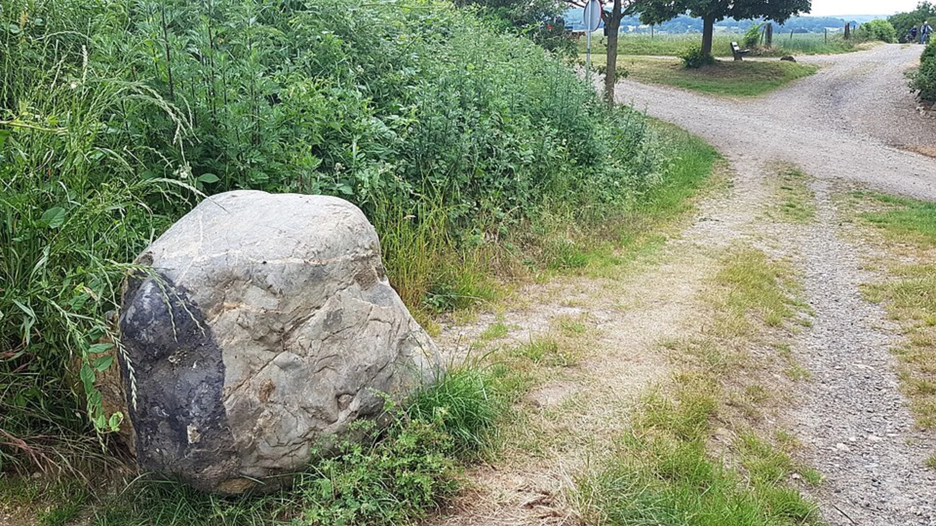 An image depicting the trail Elzetterbosch and Hilleshagen Loop and its surrounding area.