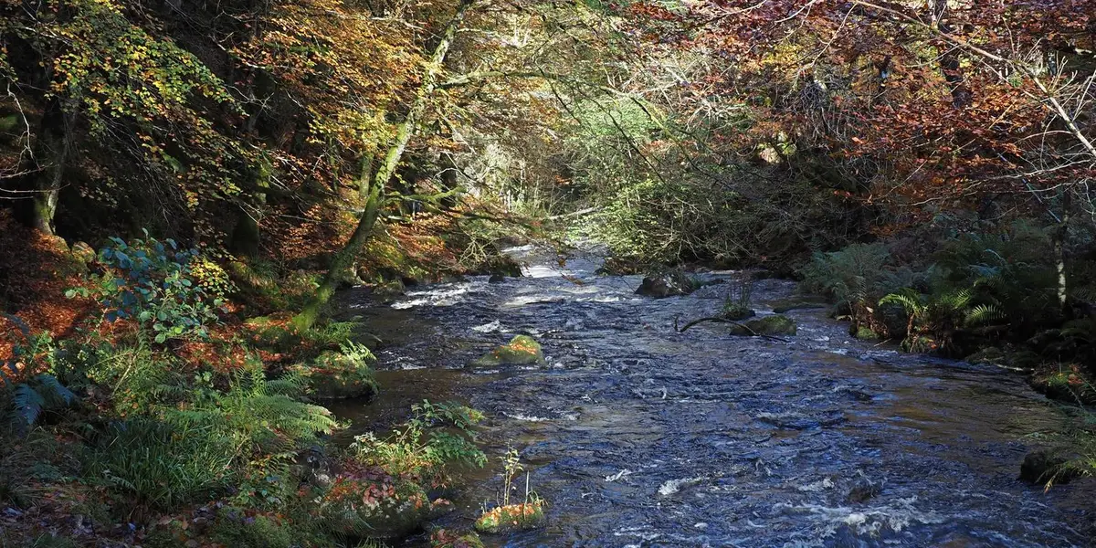 Ness Glen near Loch Doon