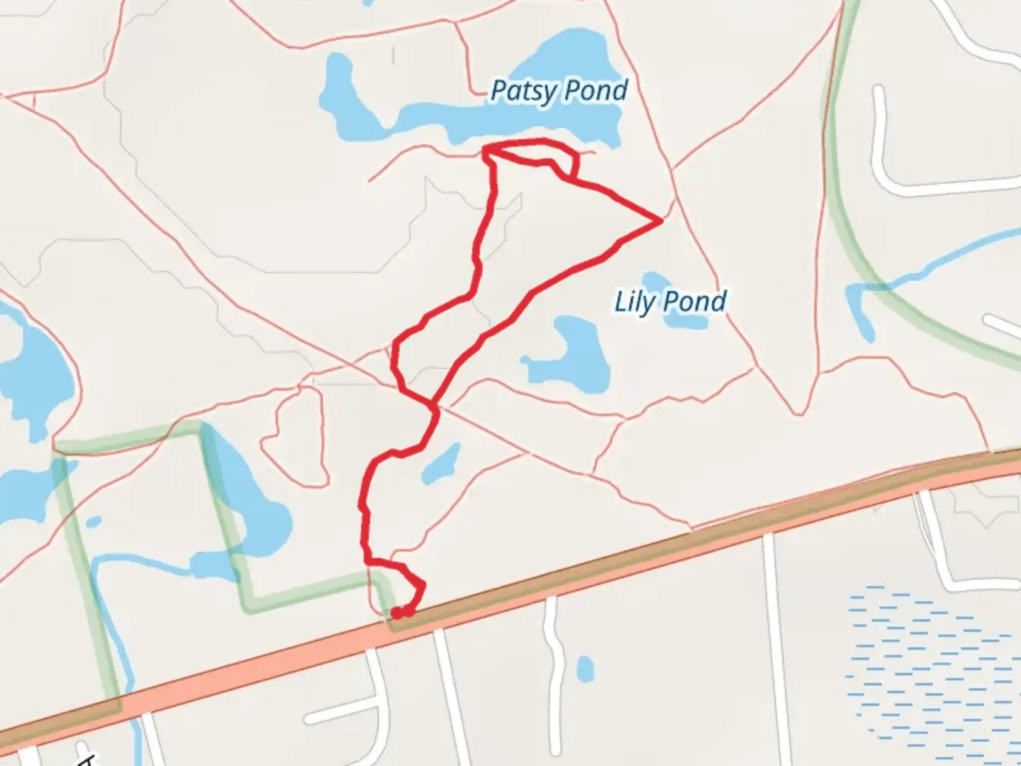 An image depicting the trail Patsy Pond Blue Loop Trail and its surrounding area.