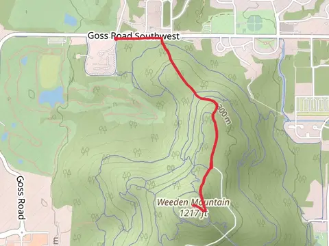 Weeden Mountain from Bennett Drive