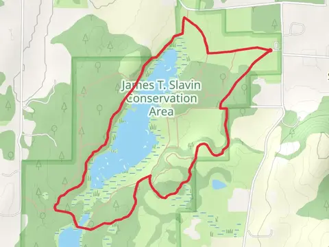 James T Slavin Conservation Area Loop
