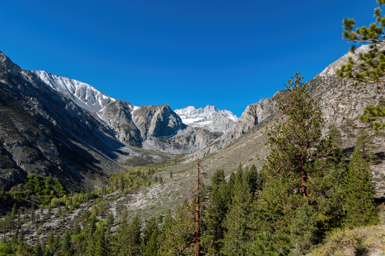 An image depicting the trail Sage Flat Streamside Trail and its surrounding area.