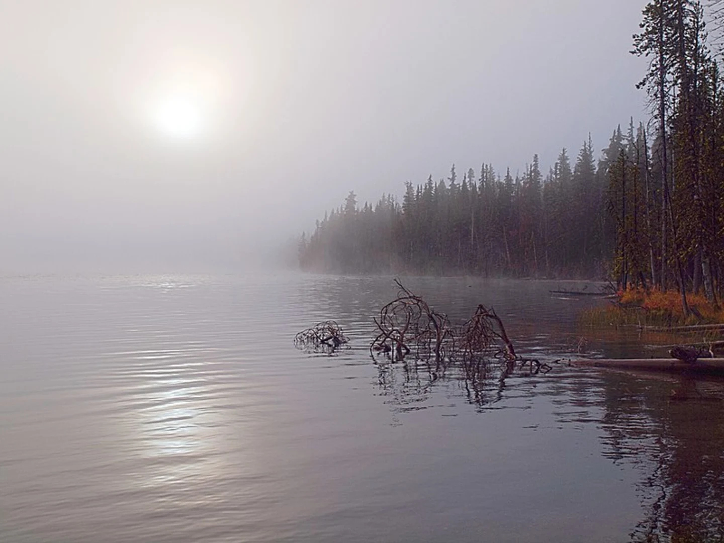 An image depicting the trail Maidu Lake Trail and its surrounding area.