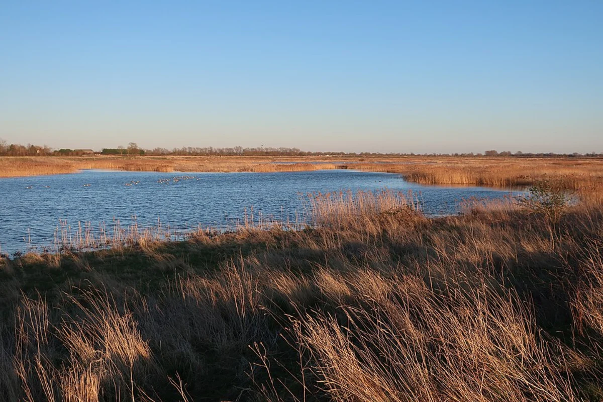 Ouse Fen Nature Reserve Loop