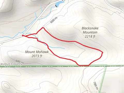 Black Snake Mountain Trail Loop