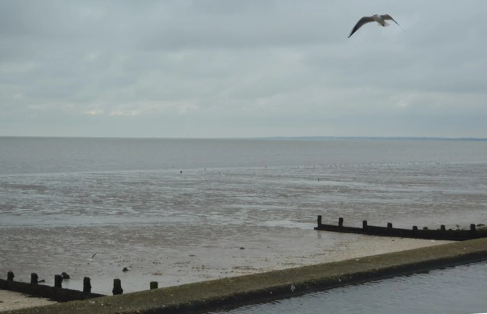 An image depicting the trail Shellness and Leysdown on Sea Loop via Shell beach and its surrounding area.