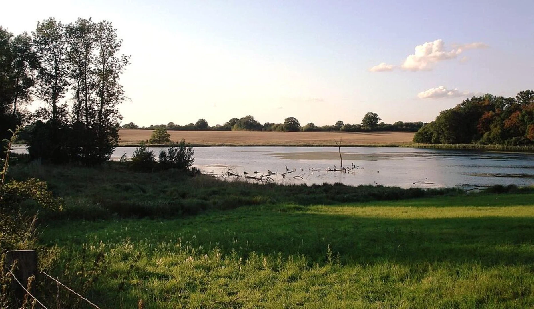 An image depicting the trail Dodauer Forest and Dodauer See Loop and its surrounding area.