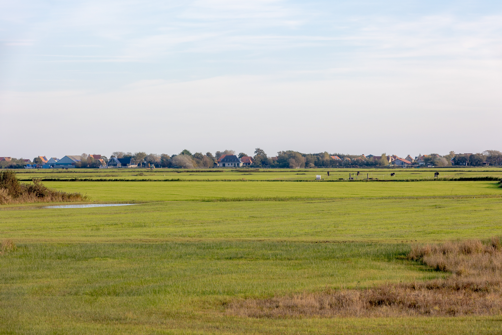 An image depicting the trail Beemster and Eilandspolder Loop and its surrounding area.