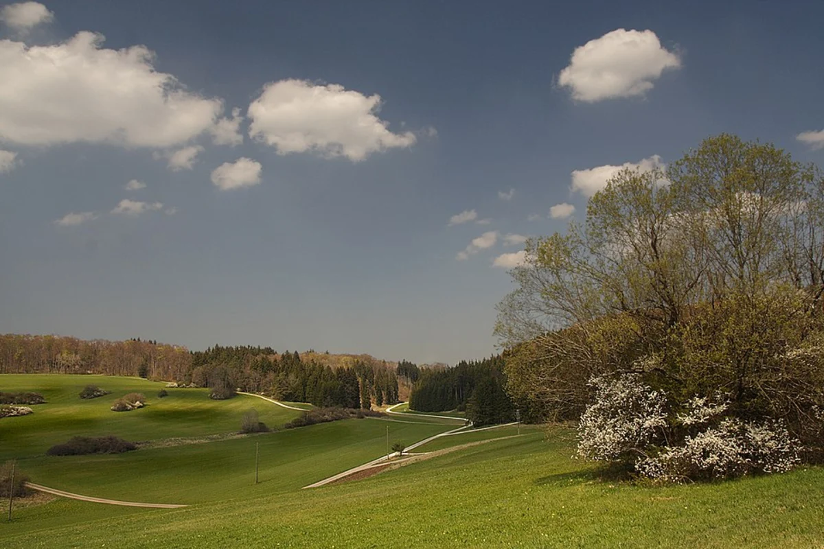 Jungfernbrunnen Loop via Buchenau