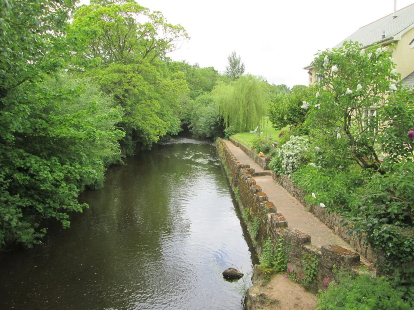 An image depicting the trail Uffculme Loop and its surrounding area.