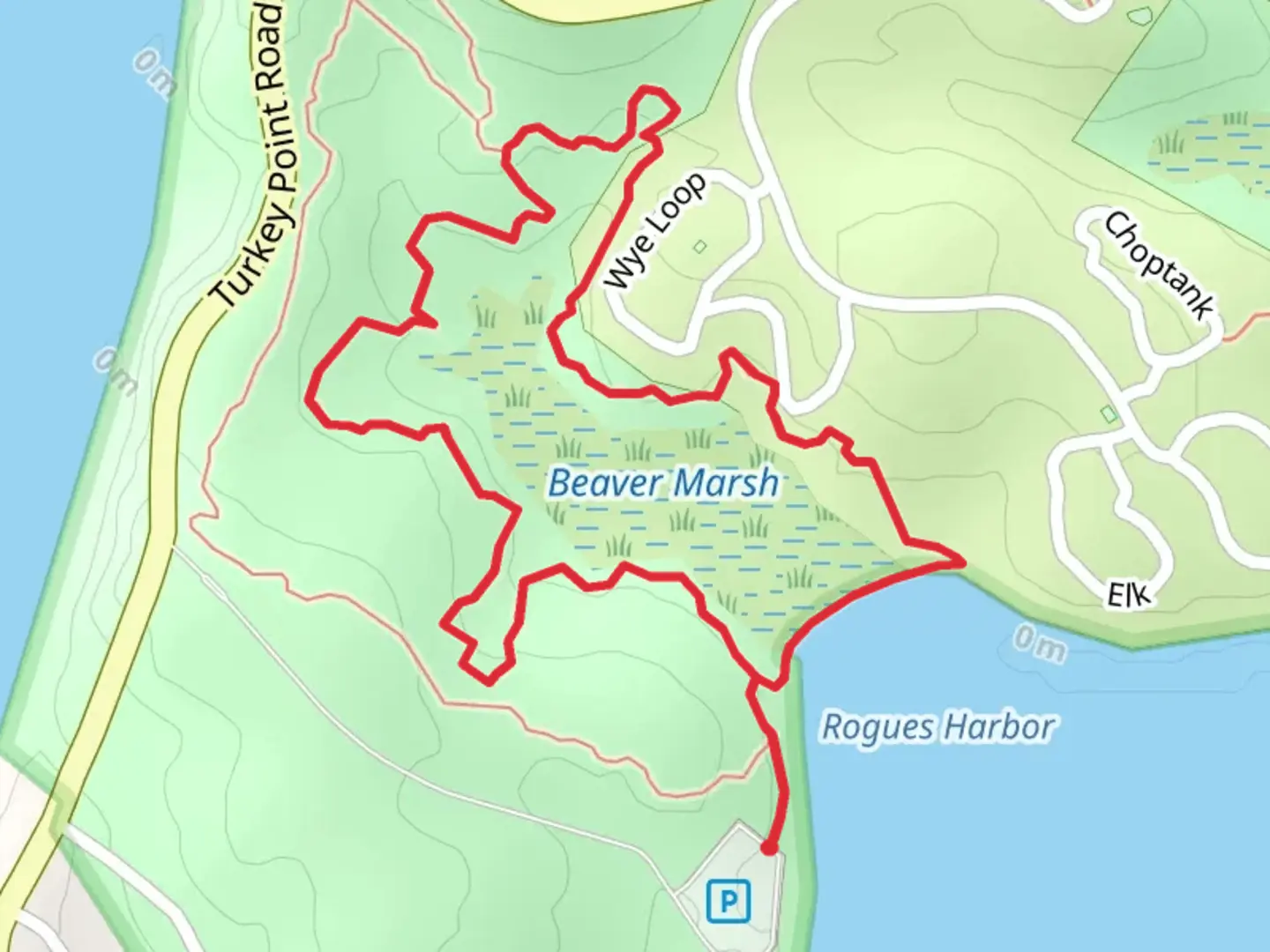 An image depicting the trail Beaver Marsh Loop and its surrounding area.