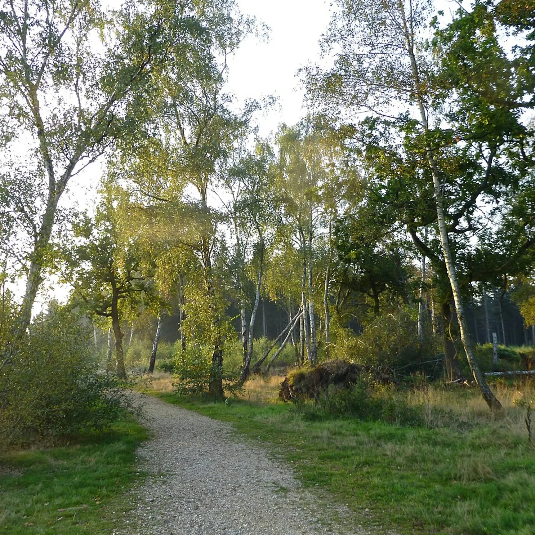 An image depicting the trail Penwood Loop and its surrounding area.