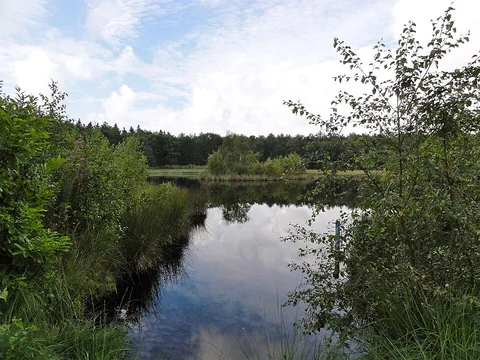 Duursma's Dobbe and Waskemar Loop