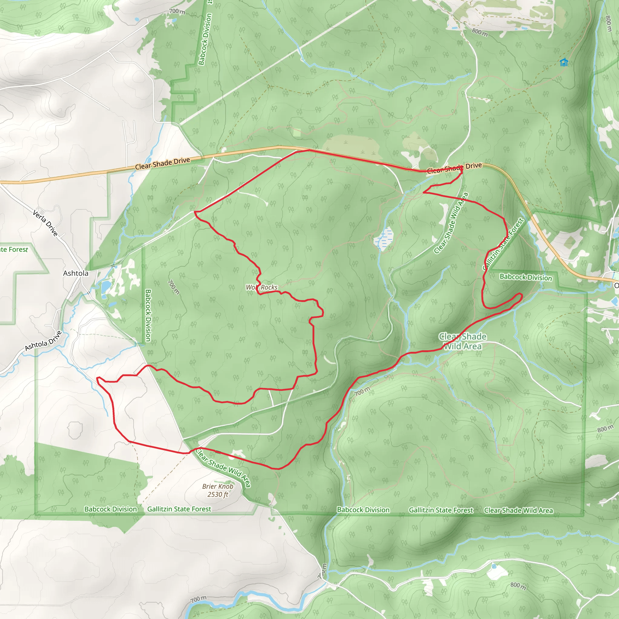 John P Saylor - North Loop Trail mobile static map