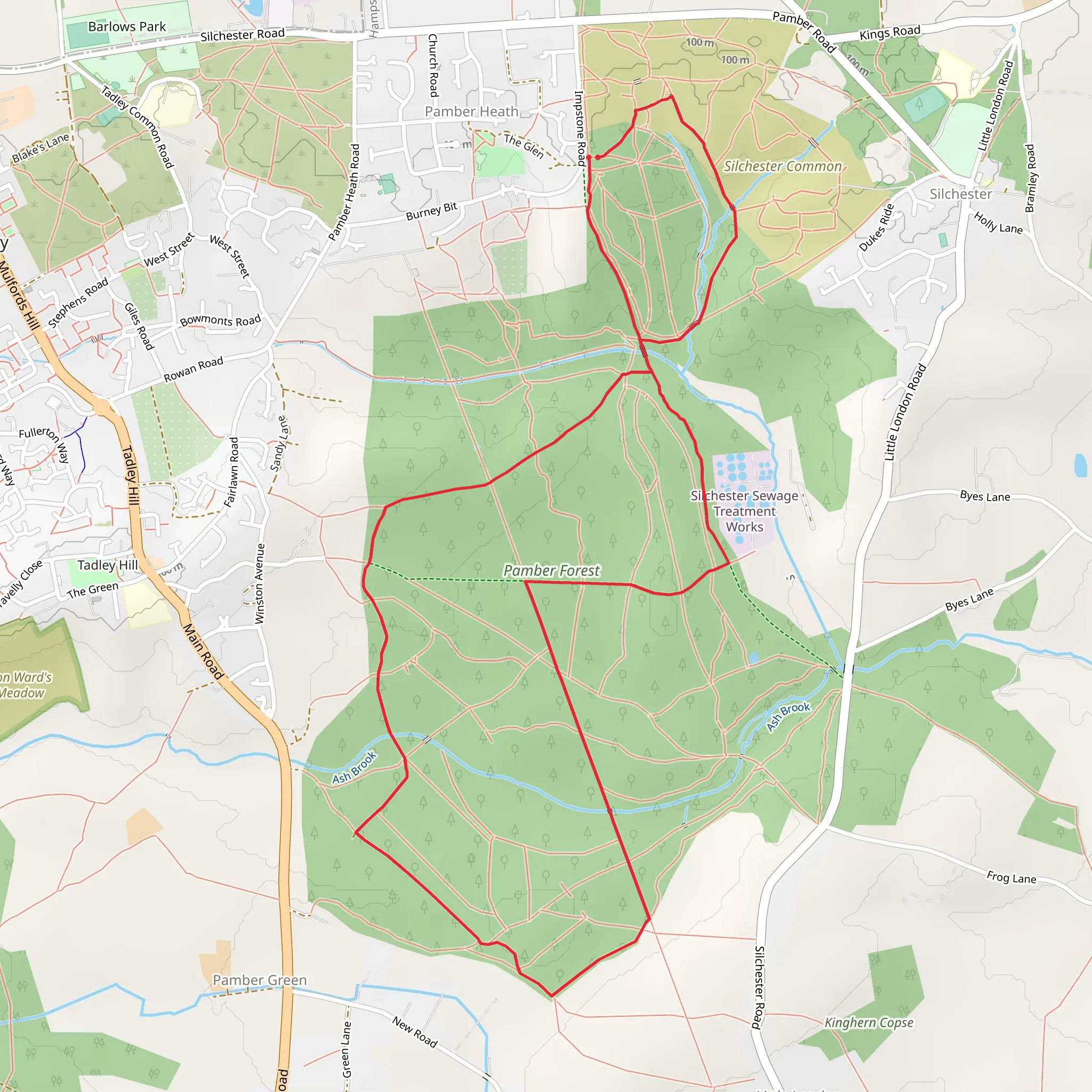 Pamber Forest Loop Walk mobile static map